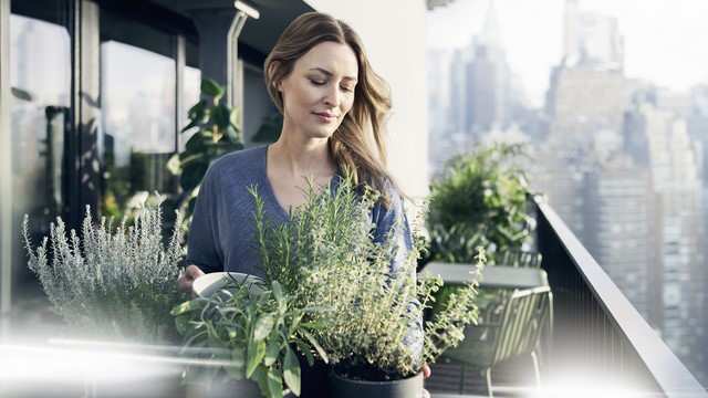 escribe aquí la descripción de la imagen