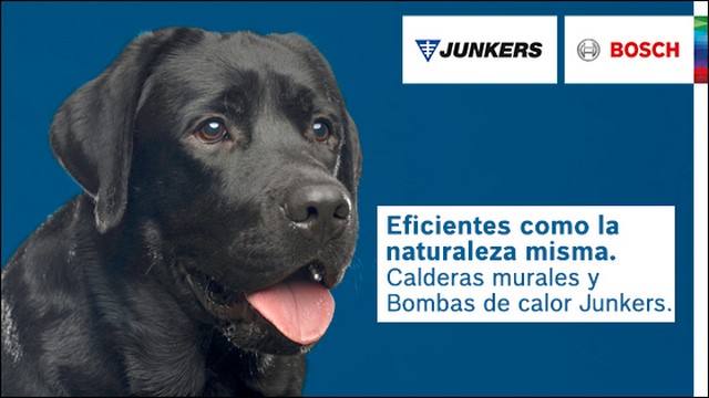 escribe aquí la descripción de la imagen
