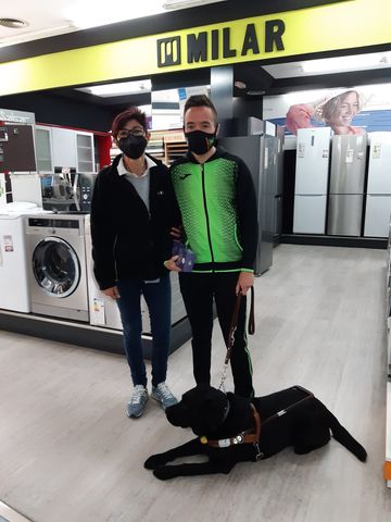 escribe aquí la descripción de la imagen