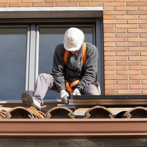 escribe aquí la descripción de la imagen