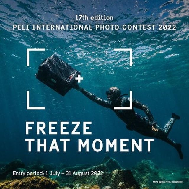 escribe aquí la descripción de la imagen