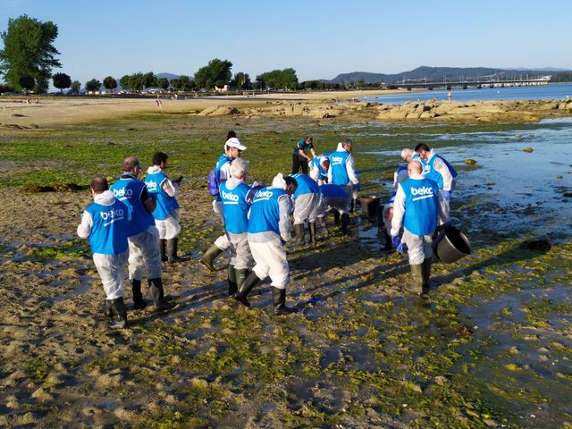 escribe aquí la descripción de la imagen