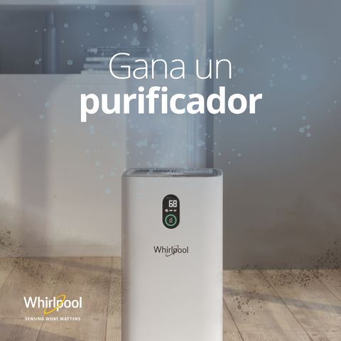 escribe aquí la descripción de la imagen