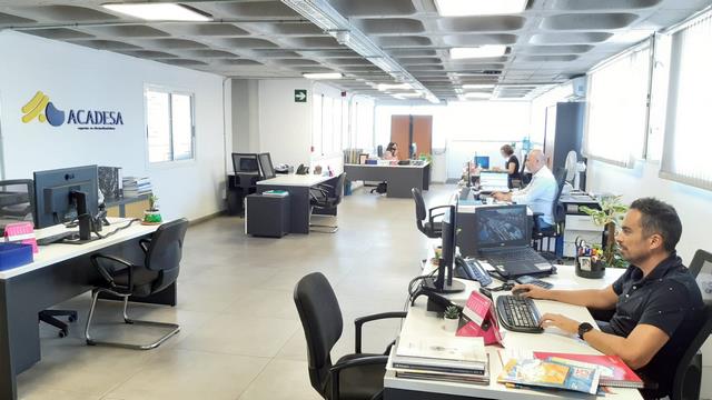 escribe aquí la descripción de la imagen